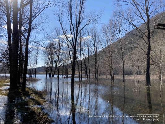 Environmental Special Area of Conservation, Ecosystem, Biodiversity